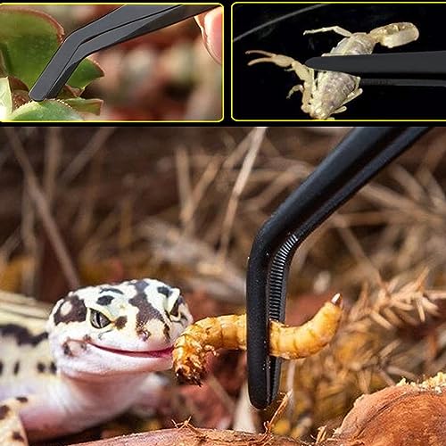 3Pcs Aquascaping Tools Kit, Long Stainless Steel Aquatic Plant Tweezers, Scrapers, Long Handle Feeder Tools for Fish Aquariums, Reptiles Snakes Lizard Gecko Spider and Bird (Black) - color: Black