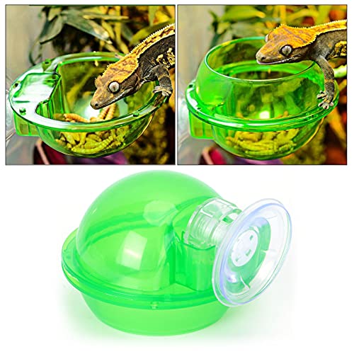 Suction Cup Reptile Feeder | Food - Grade Plastic Bowl for Gecko/Snake/Lizard | Translucent Water Nursery Basin with Secure Suction | Easy to Install & Move