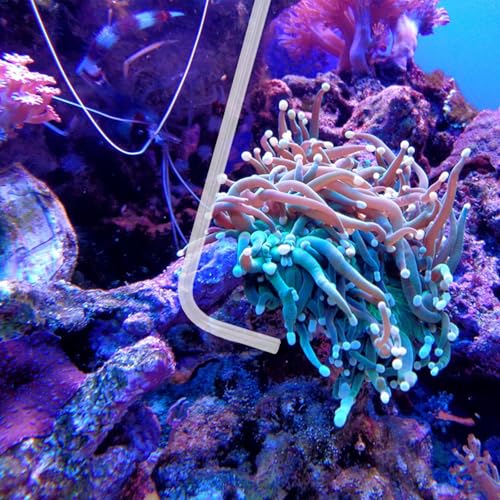 KABASI Waste Clean Tool Coral Fish Feeder with 2PCS Extension Pipes | 50ml Manual Acrylic Pipette Suction Dropper Fish Tank Cleaning, Water Changer Waste Remover for Aquarium - color: Type B