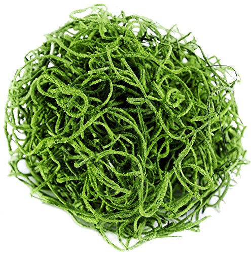 SuperMoss (26907) Spanish Moss Preserved, Grass, 4oz, 120 cubic in Bag (Appx. 4oz) (7 59834 26907 6) | Decorative Moss for Crafts, Potted Plants & Fairy Gardens, Vase Filler & Floral Arrangements, Indoor/Outdoor Garden Projects
