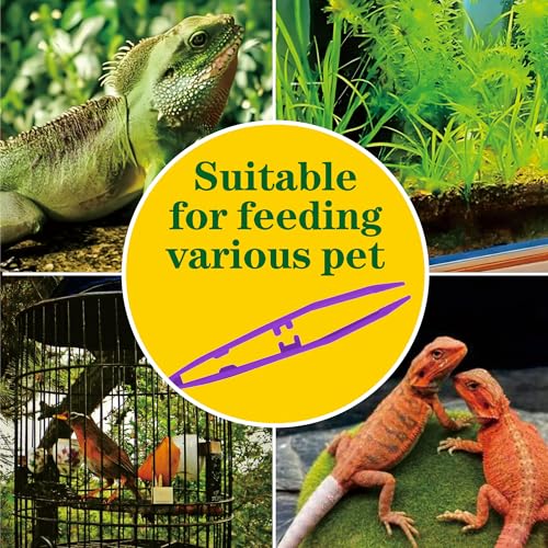 5-Pack Reptile Feeding Tongs Set - Hygienic Anti-Slip Purple Tweezers for Bearded Dragons, Lizards, Snakes, Aquariums & Small Animals(Five Colors to Choose from) - color: Purple