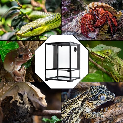 REPTI ZOO 30 Gallon Reptile Glass Terrarium, 18" x 18" x 24" Rainforest Habitat Tank with Front Opening Door, Knock-Down Vertical Reptile Terrarium with Top Screen & Side Mesh Ventilation