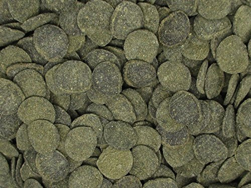 Mini Algae Discs - Sinking Diet for Snails, Shrimp & Bottom Feeding Fish (1.5oz (42,5g))