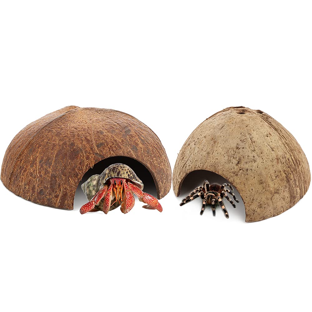 2 Pack Spider Coconut Shell Shelter, Hermit Crab Hideout, Lizard Hiding Cave, Turtle Rest Hut, Fish Tank Aquarium Decoration