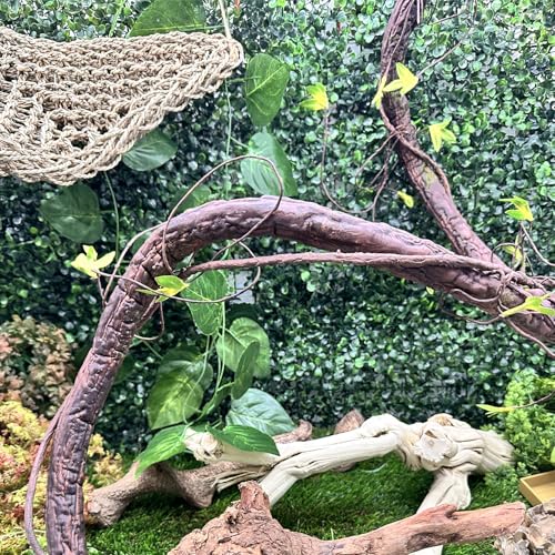 VCEPJH Loose Coconut Fiber Substrate 2 Pack Natural Coco Coir Reptile Bedding and Extra Large Reptile Vines Thick Terrarium Plants 78 Inches Long for Bearded Dragon Chameleon Gecko Lizard