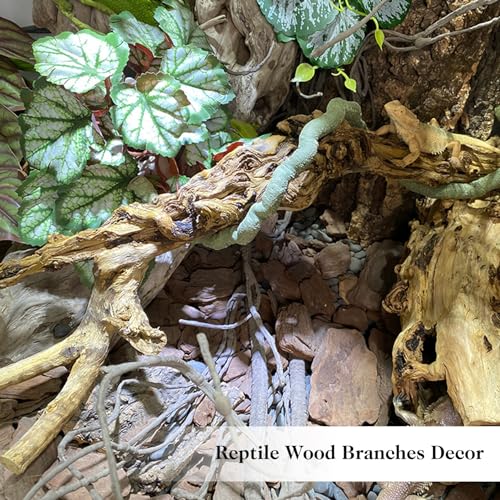 VCEPJH 2 Pack Reptile Wood Branches, Snake Climbing Branch Natural Bearded Dragon Log Tank Accessories Tree Trunk for Chameleon Gecko Snake Frog Spider - size: Pomegranate Wood (L:13.7"-15.7"-2pcs)