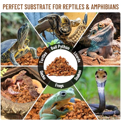 Riare 10LB Coconut Husk Chip for Reptiles, 72 Quart Coconut Fiber Substrate | Coco Chips Substrate Coconut Husk Bedding for Snakes, Tortoises, Ball Python, Bearded Dragon, Geckos, Lizards, Frogs - color: 1 Pack-10LB