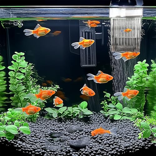 WEAVERBIRD Aquarium Fish Breeder Box, Acrylic Square Isolation Hatchery | Fish Isolation Breeding, Hatching Incubator, For Baby Fish Shrimp Clownfish Guppy - size: Square