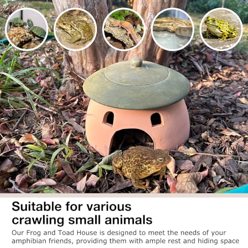 Frog and Toad House 8 x 6Inch Toad House for Outside Garden Reptile Cave Red Pottery Ceramics Small Reptile Cave Hide Reptile Hides and Caves Snake Toad Frog Turtle House Green with Lid