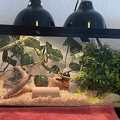 Reptile Terrarium Plants Decoration,Bearded Dragons Habitat Bendable Hanging Jungle Vines Decor Lizard Tank Artificial Leaves Plant Accessories for Lizards Snake Geckos Chameleon - size: 【Type A】