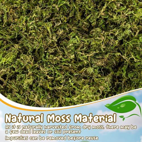 Sukh Hamster Moss - 5.6 Oz Forest Moss for Hamster Bedding Nesting Hideout Dried Moss Reptile Moss for Squirrels Hamsters Guinea Pigs Mices Small Animals Cage Accessories