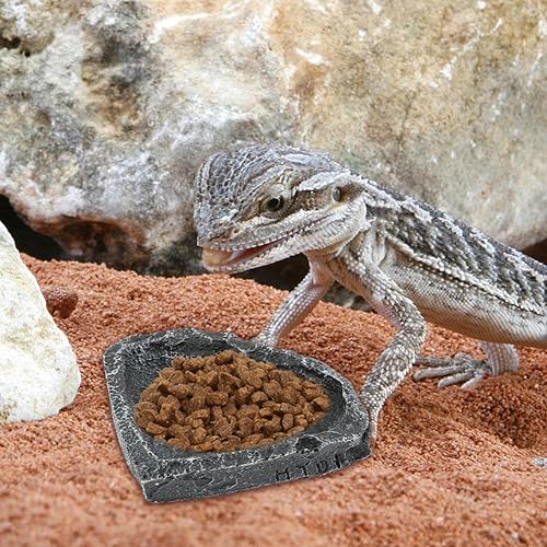 2Pack Reptile Water Dish Food Bowl with Tongs&Shovel,Reptile Feeding Dish-Corner Bowl,Terrarium Water Dish-Feeding Bowl for Bearded Dragon Lizard Frog Gecko Tortoise Hermit Crab