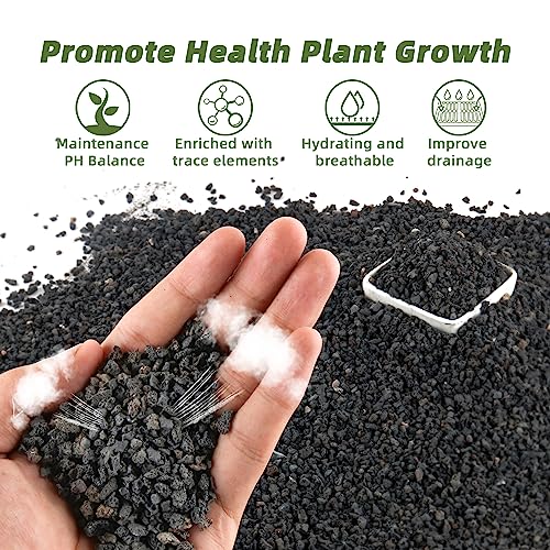 2.4LB Black Lava Rocks for Plants, Volcanic Rock Horticultural Lava Rock Soil for Landscaping Plants Drainage, Small Lava Rock Gravel for Succulents, Bonsai, Vase Fillers, Top Dressing - color: Black, size: 2.4lb