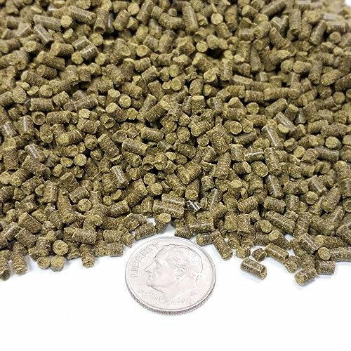 Calcium Blocks Included in These Spirulina Sinking Pellets for Shrimp, Snails, Crabs, Catfish, Plecos for All Tropical Fish 1/16" x 3/8" Pellets by Zeigler.12oz Small Jar - size: 12 Ounce (Pack of 1)