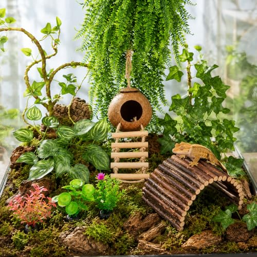 RUNANIA Crested Gecko Tank Accessories,Reptile Vines Plants with Coconut Shell Ladder Hideout Hermit Crab Decor for Leopard Gecko Lizard Chameleon Tortoise Snake Terrarium Decor