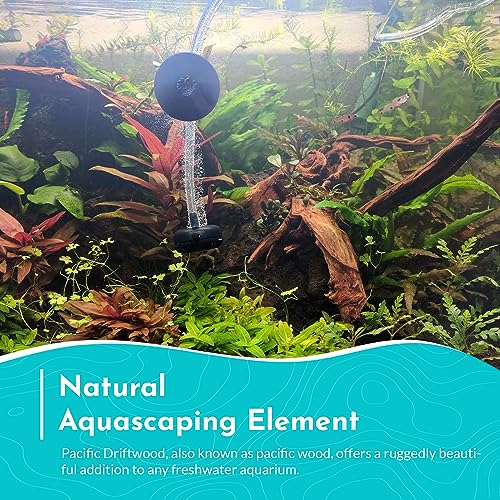 Pacific Wood for Aquascaping Size: Medium