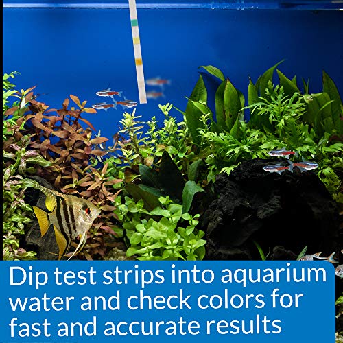 API 5-IN-1 TEST STRIPS Freshwater and Saltwater Aquarium Test Strips 100-Count Box - size: 100-Count