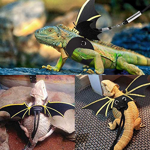 4 PCS Adjustable Bearded Dragon Harness and Leash, 2 Style 3 Size Adjustable Reptile Lizard Leash, 2 PCS Feeding Tweezers for Lizard Reptiles Amphibians Small Pet Animals