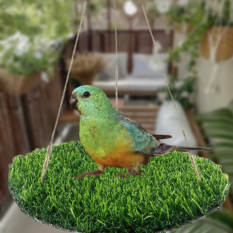 Reptile Hammock Swing Hanging Bed, PP Grass Pad,Portable Bird Swing Stand Reptile Natural Swing Hanging Bed for Bearded Dragon Leopard Gecko Lizard Birds Parrots(Round) - color: Round