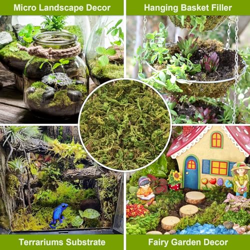 4.4LB Sphagnum Moss for Plants, 80QT Natural Long Fiber Orchid Moss | Drainage & Moisture Retention, Green Plant Moss for Orchid Repotting, Carnivorous, Succulents, Reptile Bedding & Terrariums - size: 4.4LB