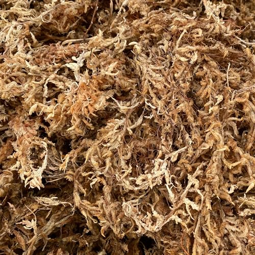 Better-Gro Sphagnum Moss - 100% Natural, Long-Fiber Moss for Orchids, Ferns, and Hostas, Excellent for Hanging Baskets and Propagating Plants - 240 Cubic Inches - size: Single
