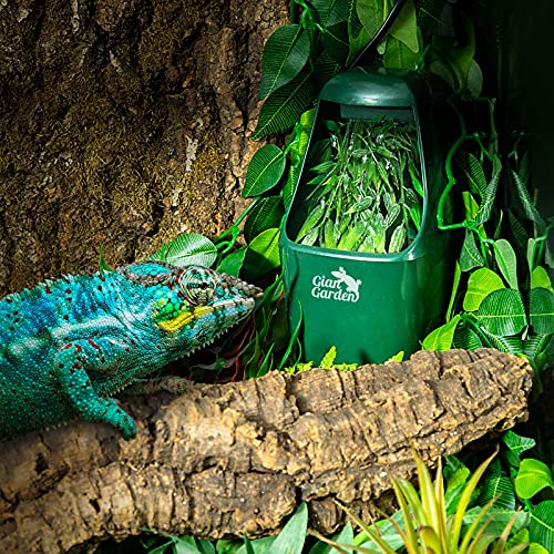 Automatic Reptile Water Fountain - Ideal for Lizards Snakes Geckos Tortoises and Bearded Dragons - Waterless Auto Shut-Off & Indicator Light Reminder with 3 Carbon Pads(27oz)