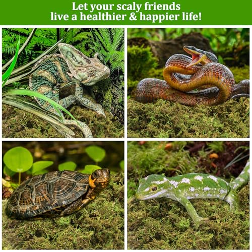 2.6LB Natural Sphagnum Moss for Reptile Terrarium Substrate Bedding | 48QT High Expansion, Moisture Retention, Helps Shedding, Long Fibers Dried Moss for Leopard Gecko, Snake, Frog, Turtle - size: 2.6LB