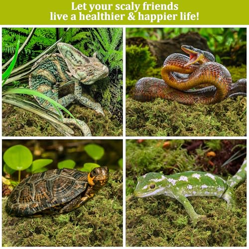 14OZ Natural Sphagnum Moss for Reptile Terrarium Substrate Bedding | 16QT High Expansion, Moisture Retention, Helps Shedding, Long Fibers Dried Moss for Leopard Gecko, Snake, Frog, Turtle - size: 14 OZ