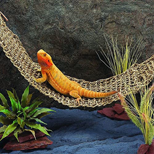 Mipcase 2Pcs Reptile Seagrass Hammock Lizard Hammock Hanging Ladder Lounger Climbing Accessories for Gecko Lizard Snake Hermit Crabs Geckos Other Small Animal Habitat Sleep Bed