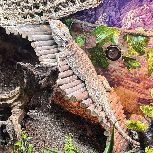 HERCOCCI Bearded Dragon Tank Accessories, 9Pcs Reptile Plants Vines Hammock | Flexible Bridge with Suction Cups Terrarium Habitat Décor for Snake Gecko Lizard Chameleon
