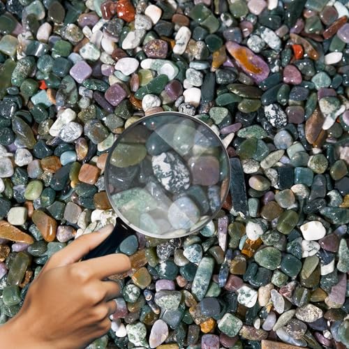 Moss Agate Chips Bulk 2lbs, 2400+ Pieces, 5-8mm Natural Gemstones - color: Moss Agate, size: 2LB