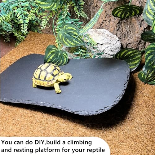Reptile Basking Platform 15.0''x7.5'' Turtle Rock Plate Food Bowl Feeding Dish Tortoise Resting Bathing Slate for Lizard Gecko Bearded Dragon Chameleon Snake Frog - size: 15.0''x7.5''(1PCS)