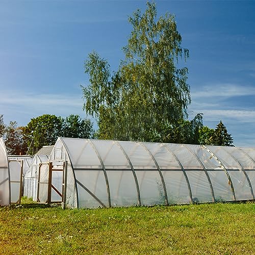 Greenhouse Film 13 x 26 Ft Greenhouse Plastic Plant Covers Freeze Protection UV Resistant PE Clear Film for Plants Dust Proof Resist Cold Weather Heavy Rainfall Strong Winds