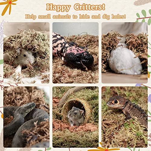 Riare 2.2LB Natural Sphagnum Moss for Reptiles- Terrarium Reptiles Moss | 50QT High Expansion, Moisture Retention, Long Fiber Dried Moss Bedding for Lepard Gecko Snakes Turtles Frogs Spiders - color: 2.2 LB