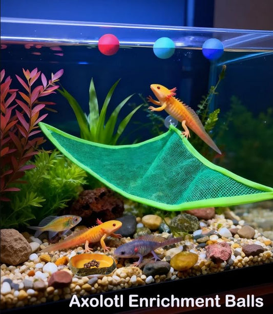 8 pcs Axolotl Hammock with Feeding Dish Floating Ball Axolotl Net for Aquarium Axolotl Enrichment Toys Reptile Triangle Hammocks Lounger Ladder Breathable Mesh Bearded Dragon Tank Accessories Green M