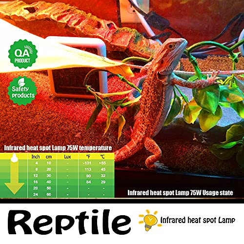 Infrared Heat Lamp Bulbs 75W 2 Pack,Red Basking Spot Light Bulb Reptile Heating lamp for Bearded Dragon,Turtle,Snake,Leopard Gecko,Chicked with Digital Temperature Thermometer - style: 75W(2 Pack)