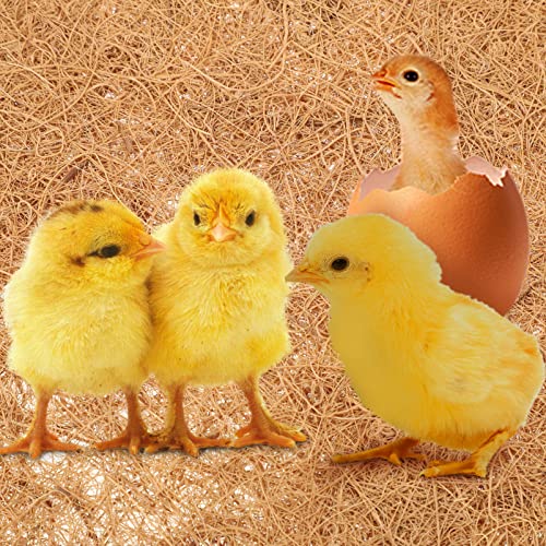 POPETPOP 6pcs Natural Coconut Fiber Pads for Chickens Reptiles Multi-use Breeding Mat for Pet Eggs Easy to Chicken Nesting Pads Lightweight