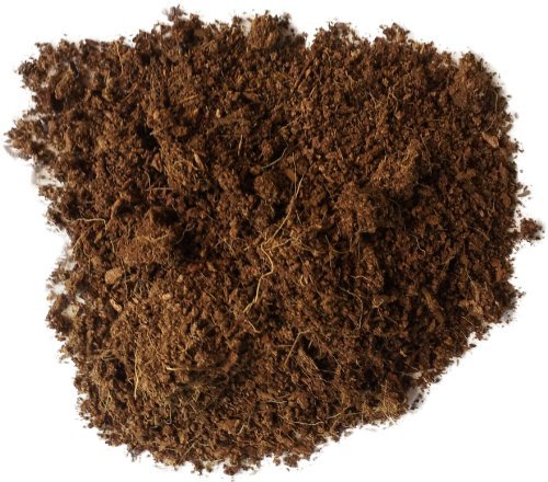 Josh's Frogs Coco Block Fine Coco Fiber (5 kg/38 quarts) - size: 38 Quart Block