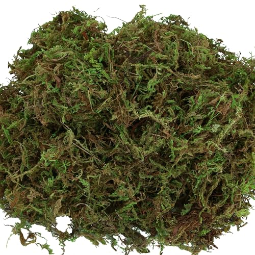 USMOLA Fake Moss for Potted Plants Indoor, 2LBS Large Capacity Artificial Green Moss for DIY Crafts, Faux Moss for Table Centerpieces Fairy Garden Terrariums Decor (32OZ)