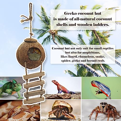 5PCS Coconut Hut for Gecko, Lizard Coco Den with Ladder and Reptile Hammock Bearded Dragon Tank Accessories Climbing Hanging Plants Jungle Vine Flexible Reptile Leaves Decor - style: 【Style A】
