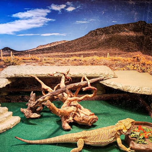 HERCOCCI 2 Pack Reptile Carpet, 39’’ x 20’’ Terrarium Bedding | Substrate Liner Reptile Cage Mat Tank Accessories for Bearded Dragon Lizard Tortoise Leopard Gecko Snake (Green) - color: Green