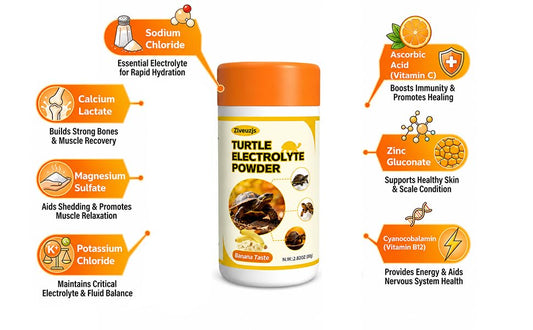 Tortoise Electrolytes — Ultra-Fine Powder — Banana 2.82 oz | Hydration