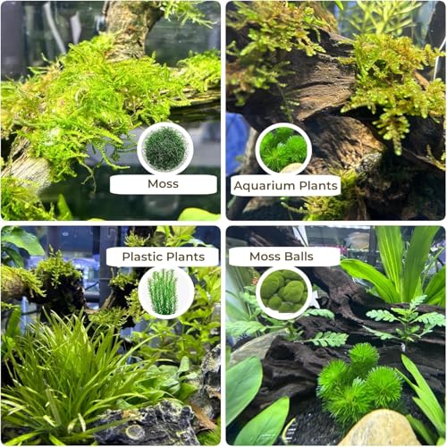 3-Piece 7-11 Inches Natural Aquarium Driftwood Decorations - Aquascape Decor for Fish Tanks, Betta Hideouts, Reptile Enclosures & Plant Attachment - size: Mopani Driftwood 7-11" (Pack of 3)