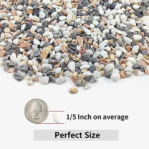 10LB Succulent and Cactus Gravel Pebbles, 1/5 Inch Mixed Color | Natural Decorative Polished Stones River Rocks for Vases, Aquariums, Terrarium and Outdoor Gardening - color: Mixed, size: 10 Pounds