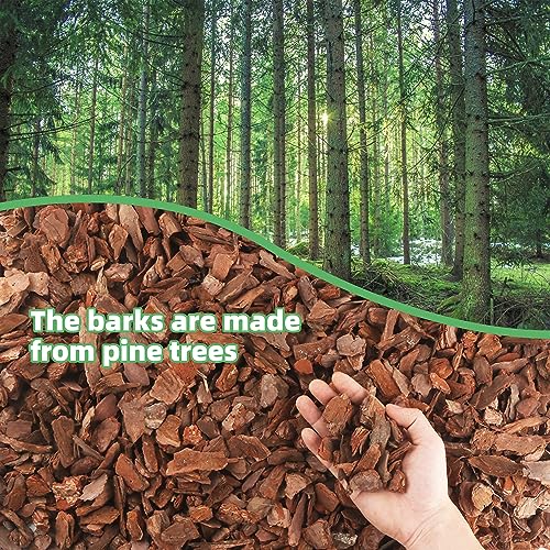 18 Quart Organic Orchid Bark for Potting-Natural Orchid Mulch for Potted Plants, Root Development of Orchid Plants and Garden Soil Amendment Mix…… - color: Medium, size: 18qt