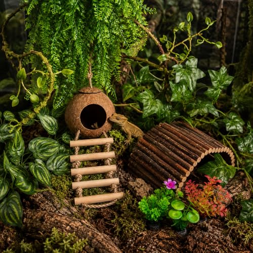RUNANIA Crested Gecko Tank Accessories,Reptile Vines Plants with Coconut Shell Ladder Hideout Hermit Crab Decor for Leopard Gecko Lizard Chameleon Tortoise Snake Terrarium Decor