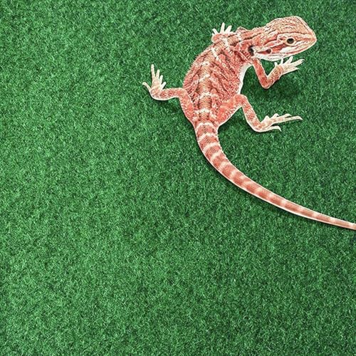 Reptile Terrarium Liner, Reptile Carpet, Reptile Mat, Terrarium Substrate Liner, Carpet Bedding for Reptile Tank, Reptile Cage Mat for Lizard Bearded Dragon Gecko Snake Tortoise, Reptile Supplies - size: 60x40cm