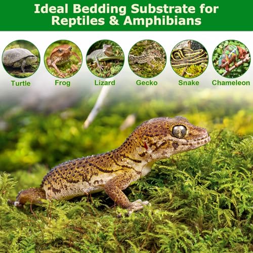 7OZ Sphagnum Moss for Plants, 10QT Natural Long Fiber Orchid Moss | Drainage & Moisture Retention, Green Plant Moss for Orchid Repotting, Carnivorous, Succulents, Reptile Bedding & Terrariums - size: 7OZ