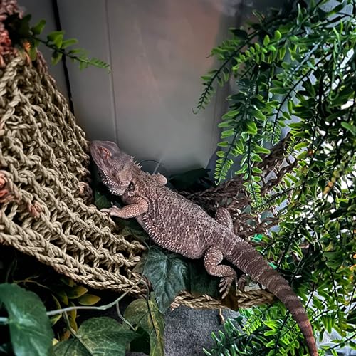 2 Pieces Bearded Dragon Hammock Large, 30" x 7" Reptile Hammock | Lizard Hammock, Climbing Habitat Tank Accessories, Reptile Bridge, For Chameleon Hermit Gecko Snakes - style: 2Pcs Rectangle