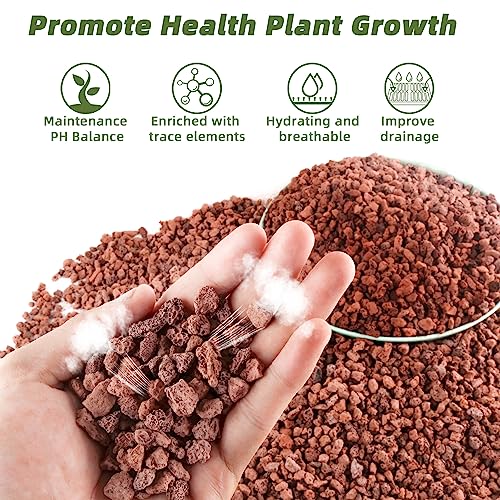 2.4LB Red Lava Rocks for Plants, Volcanic Rock Horticultural Lava Rock Soil for Landscaping Plants Drainage, Small Lava Rock Gravel for Succulents, Bonsai, Vase Fillers, Terrarium Plants, Top Dressing - color: Red, size: 2.4lb